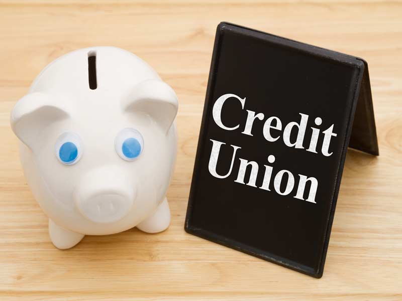 best credit unions in Florida 